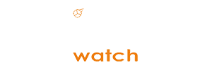 ice watch